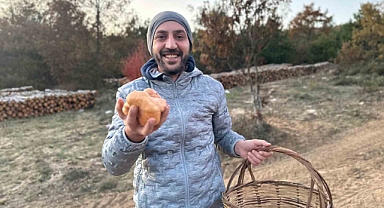 Bilecik’te mantar sezonu geç açıldı