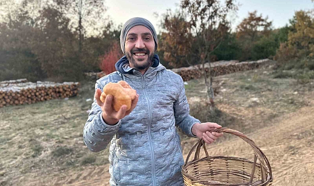 Bilecik’te mantar sezonu geç açıldı