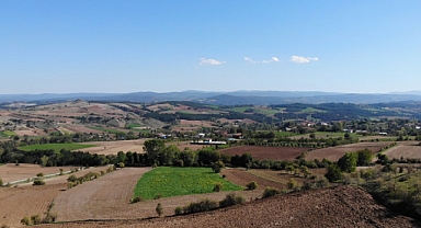 Bilinçli tarım meyvesini verdi: Çeltik hasadında rekor verim