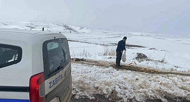 Bünyan Belediyesi’nden sokaktaki hayvanlarına yardım eli