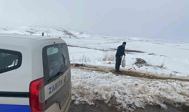 Bünyan Belediyesi’nden sokaktaki hayvanlarına yardım eli