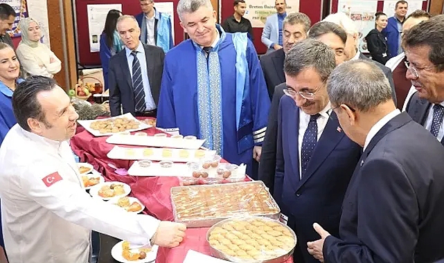 Cumhurbaşkanı Yardımcısı Cevdet Yılmaz Denizli'de