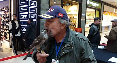 Dişi atmacalar AVM’de kendileri için düzenlenen güzellik yarışmasında boy gösterdi