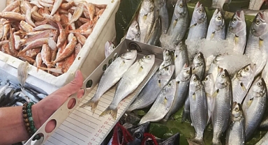 Edremit’te balık tezgahlarında denetim