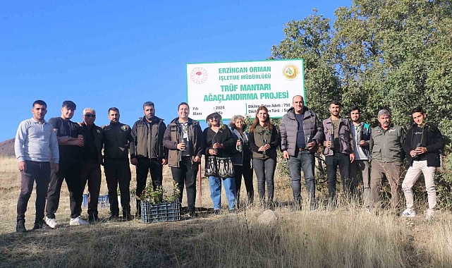 Erzincan'da ilk defa trüf mantarı ormanı oluşturuldu