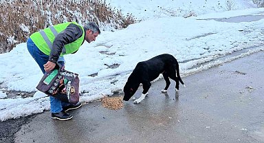 Erzincan'da Sokak hayvanları için besleme çalışması yapıldı