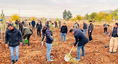 Geleceğe kök salacak fidanlar toprakla buluşturuldu