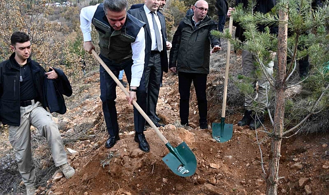 Gümüşhane’de binlerce fidan toprakla buluştu