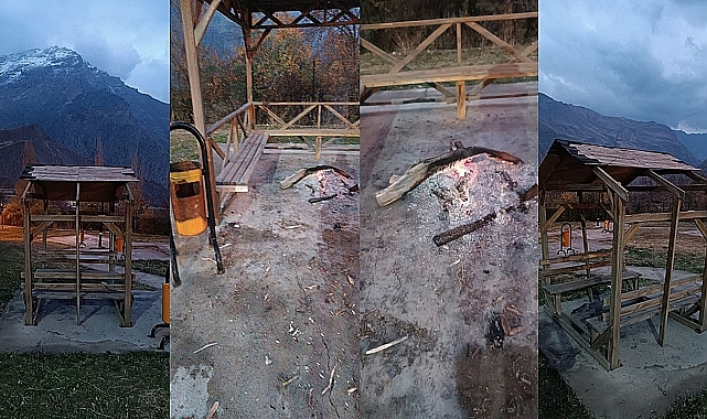 Hakkari'de bir parkta ki kamelyaya zarar verildi