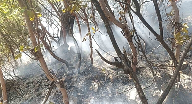 İçişleri Bakanı Ali Yerlikaya: "Gözlerimiz insan kaçakçılarının üzerinde"