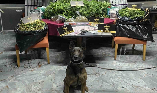 İzmir’de zehir tacirlerine ’Rex’li baskın: 1 tutuklama