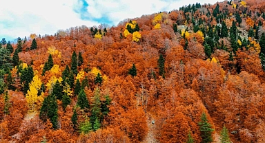 Kahramanmaraş’ta kartpostallık sonbahar renkleri