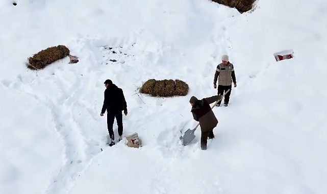 Kar yağışından sonra yaban hayvanları için doğaya yem bırakıldı