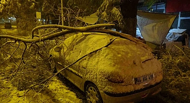 Kardan kırılan ağaç dalları araçların üzerine devrildi