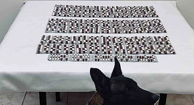 Kastamonu’da 991 adet sentetik ecza hapı ile yakalanan şahıs tutuklandı