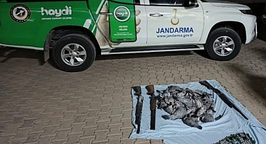 Katlettikleri hayvanların bedeli ağır oldu