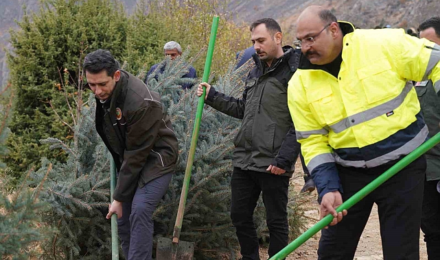 Kemaliye'de geleceğe nefes için fidan dikildi