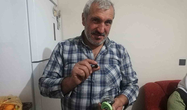 Malatyalı çiftçinin zeytin sevinci
