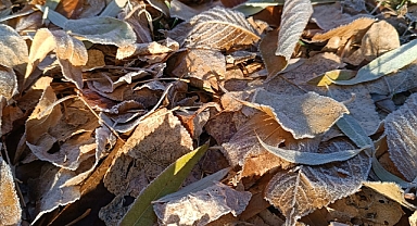 Mevsimin En Soğuk Gecesini Yaşadı Patnos