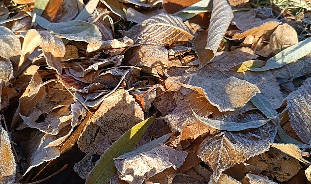 Mevsimin En Soğuk Gecesini Yaşadı Patnos