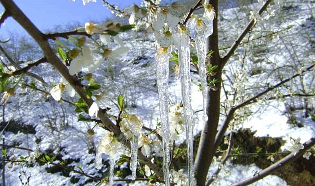 Muğla’ya yağmur sonrası soğuk hava uyarısı