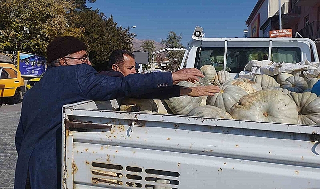 Muşlu kabak yetiştiricisi pazar bulamamaktan yakınıyor