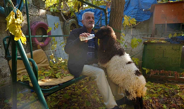 Muş'ta sıcak bir dostluk: Maşallah Aslan ve 'Fulya'nın hikayesi yürekleri ısıttı