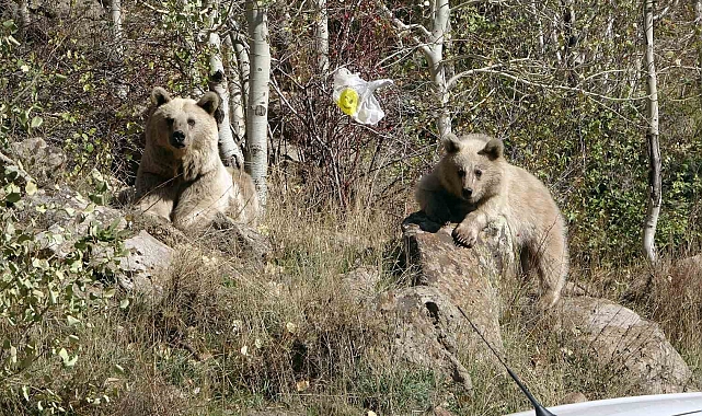 Nemrut Kalderası ziyarete kapatıldı