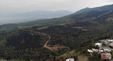 Orman yangınında küle dönen alan drone ile görüntülendi