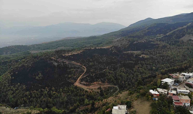 Orman yangınında küle dönen alan drone ile görüntülendi