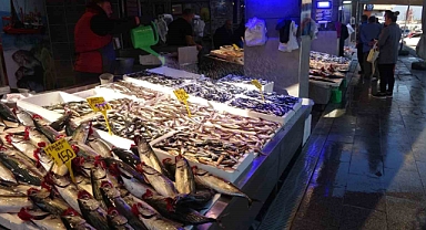 Palamut tezgahlarda yerini hamsiye bırakıyor