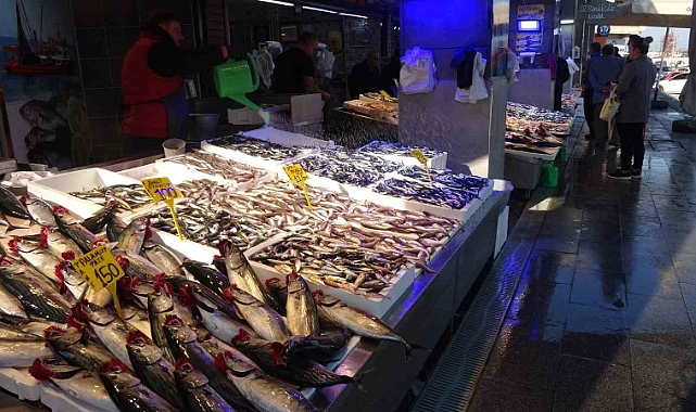 Palamut tezgahlarda yerini hamsiye bırakıyor