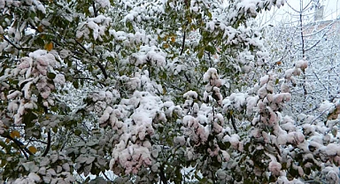 Posof güne kar yağışıyla uyandı