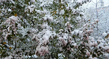 Posof güne kar yağışıyla uyandı