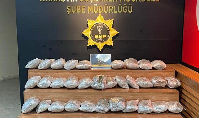 Şanlıurfa’da 29 kilogram skunk ele geçirildi: 1 gözaltı