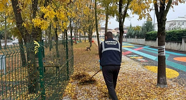 Serdivan’da sonbahar temizliği