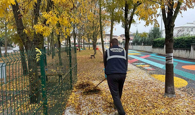 Serdivan’da sonbahar temizliği