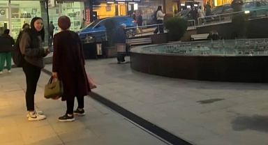 Sokak ortasındaki süs havuzuna tuvaletini yaptı