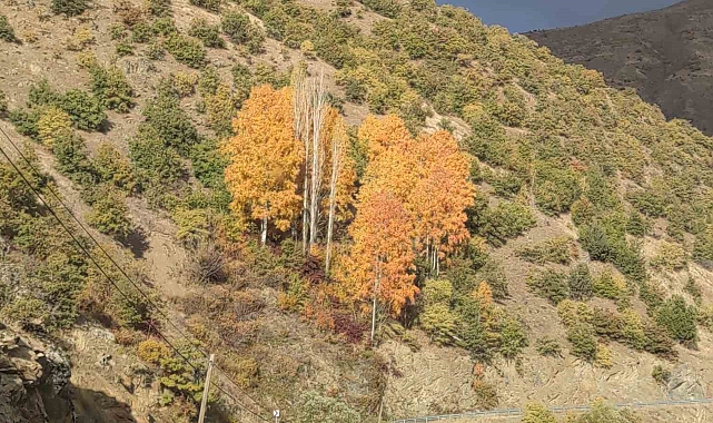 Sonbaharda Hizan rengarenk
