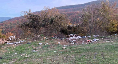 Sonbaharın renklerine çöp gölgesi