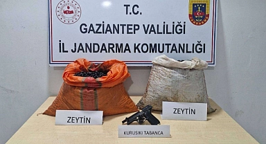 Suçüstü yakalanan zeytin hırsızlığı şüphelisi tutuklandı