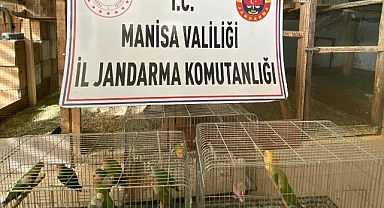 Üretimi yasak papağan satışı yapan şahsa 1 buçuk milyonluk ceza