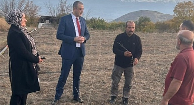 Üzümlü’de goji berry yetişecek