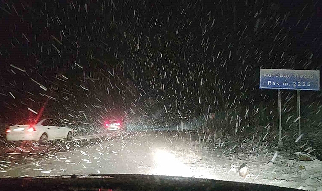 Van'da yoğun kar yağışı ve sis sürücülere zor anlar yaşattı