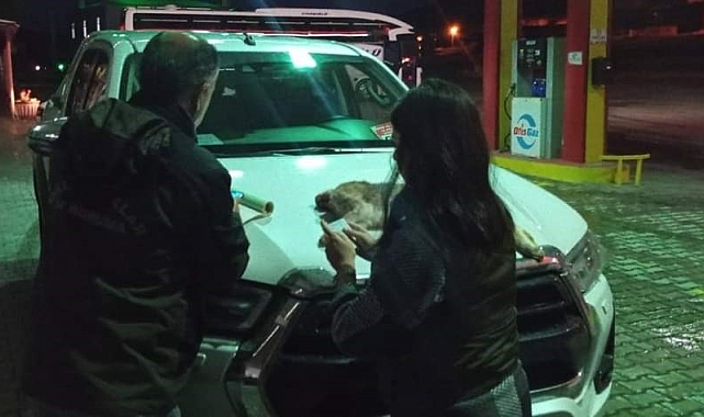 Van'da yasadışı avlanan şahsa 11 bin lira caza