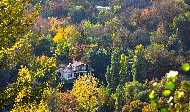 Yeşilyurt'un sonbahar renk cümbüşü, fotoğrafçılara ilham veriyor