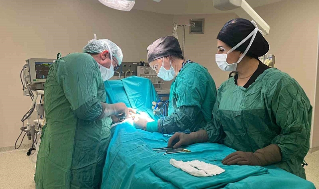10 binde bir görülen omfalosel hastalığıyla dünyaya gelen bebek sağlığına kavuştu
