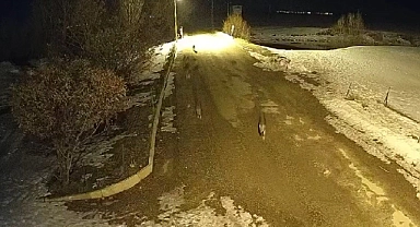 11 kurt köyü mesken tuttu