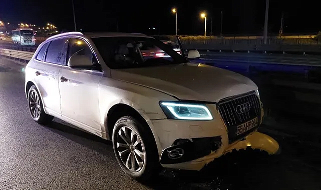 24 yaşındaki şahıs kız arkadaşının annesini öldürüp canına kıydı