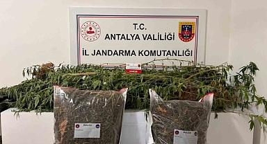 Alanya’da narkotik operasyonları
